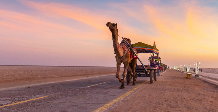 Wildlife and Beaches of Saurashtra