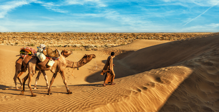 The Golden Rajasthan